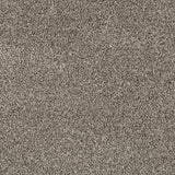 Parchment 76 Serano Elite Intenza Carpet