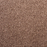 Parchment 90 Sacramento Classic Carpet