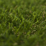 Palm Springs Artificial Grass