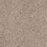 Parma 835 Woolmaster Twist Deluxe Carpet