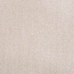 Pearl 305 Easy Living Carpet