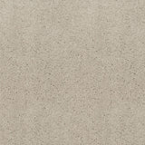 Pearle 09 Sirius 70oz Invictus Carpet Clearance