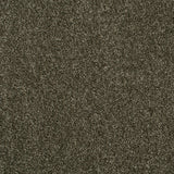 Pecan 94 Revolution Soft Heathers Intenza Carpet