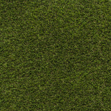 Buena Park Artificial Grass