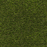 Buena Park Artificial Grass