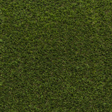 Santa Ana Artificial Grass