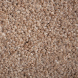 Periwinkle 50oz Home Counties Heathers Carpet by Cormar