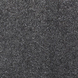 Pewter 177 Serano Elite Intenza Carpet