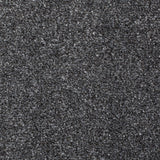 Pewter 177 Serano Elite Intenza Carpet