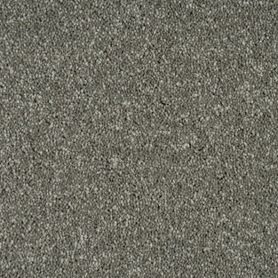 Pewter Grey Missouri Saxony Carpet