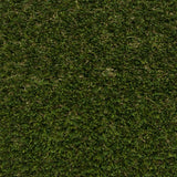 Lakewood 32 Artificial Grass