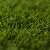 Lakewood 32 Artificial Grass