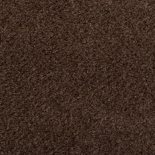 Brown Western Berber Carpet