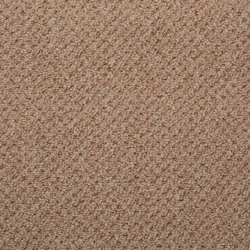 Golden Beige Western Berber Carpet