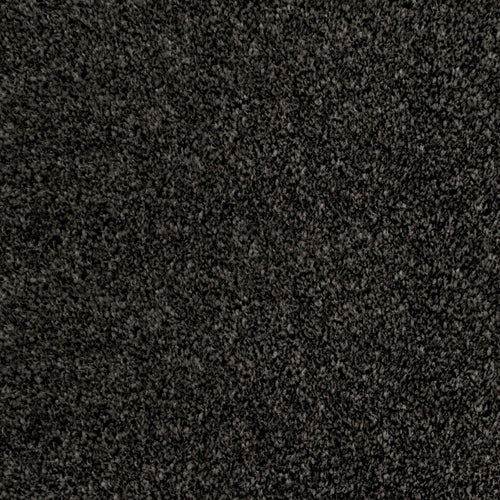 Pirate Black 995 Noble Heathers Saxony Carpet