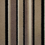 Greige 910 Pop Art Striped Carpet