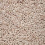 Porcelain 50oz Home Counties Heathers Carpet by Cormar