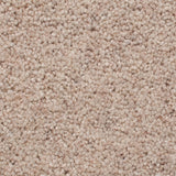 Porcelain 50oz Home Counties Heathers Carpet by Cormar