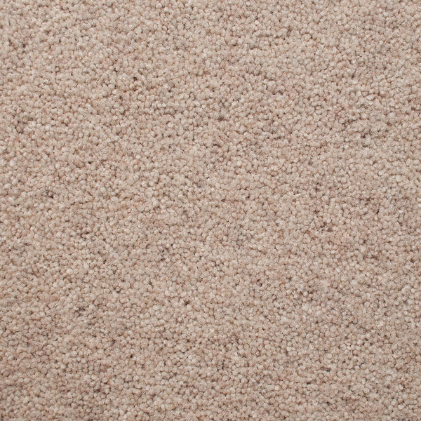 Porcelain 50oz Home Counties Heathers Carpet by Cormar