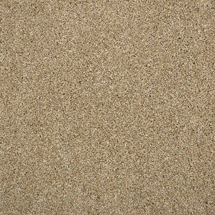 Stone 70 Premium Carpet