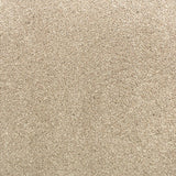 Sandstone 73 Premium Carpet