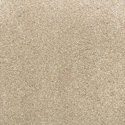 Sandstone 73 Premium Carpet