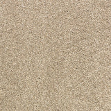 Sandstone 73 Premium Carpet