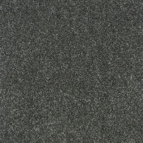 Platinum 76 Premium Carpet