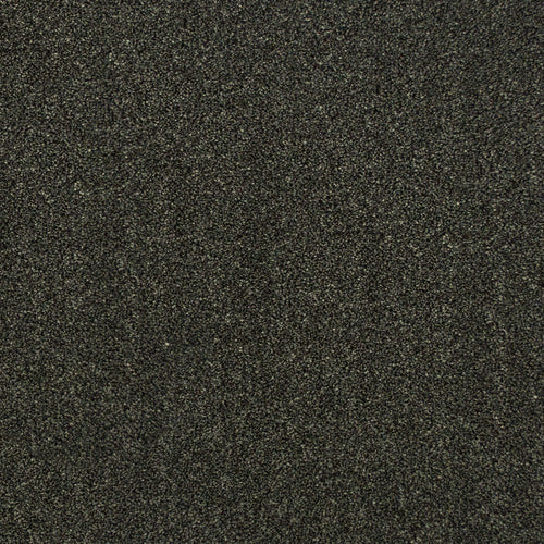 Slate 77 Premium Carpet