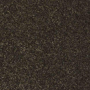 Bark 79 Premium Carpet