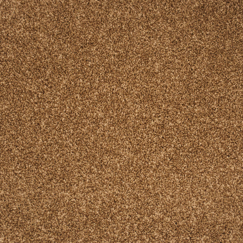 Beechwood Primo Delight Carpet by Cormar