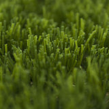 Santa Monica Artificial Grass