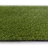 Moorpark Artificial Grass