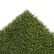 Moorpark Artificial Grass