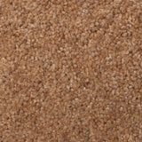 Prestige Twist Deluxe 53oz Carpet