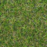 Rawcliffe 17mm Artificial Grass