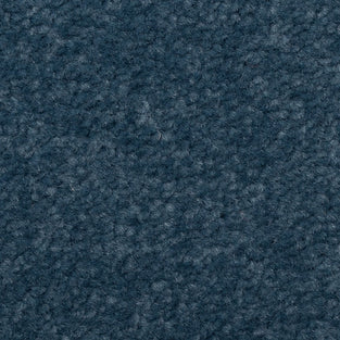 Mid Blue 81 Revolution Carpet