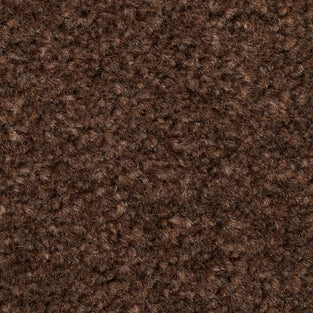 Chocolate Brown 94 Revolution Carpet