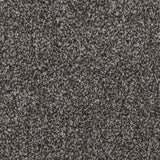 Rich Grey 73 Hudson Carpet