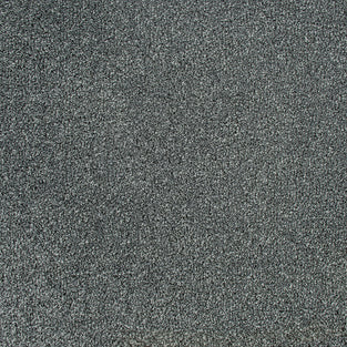 Rich Grey Indiana Saxony Carpet