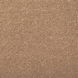 Rio Grande Carpet