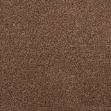 Rio Grande Carpet