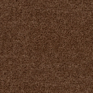 Warm Brown Rio Grande Carpet