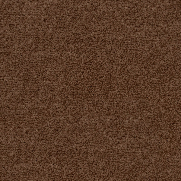 Warm Brown Rio Grande Carpet