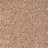 Brioche Stainfree Royale Carpet