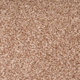 Brioche Stainfree Royale Carpet