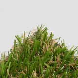 Runner 20mm Artificial Grass