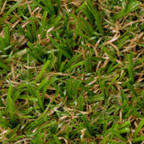 Runner 20mm Artificial Grass