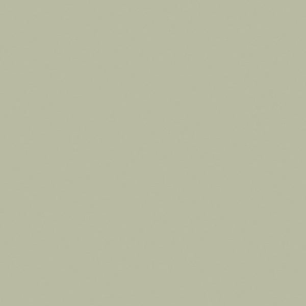 Sage Green 521 Blush Vinyl Flooring | Plain Coloured Vinyl | Buy Blush ...