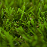 Sage 35 Artificial Grass